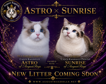 Astro & Sunrise